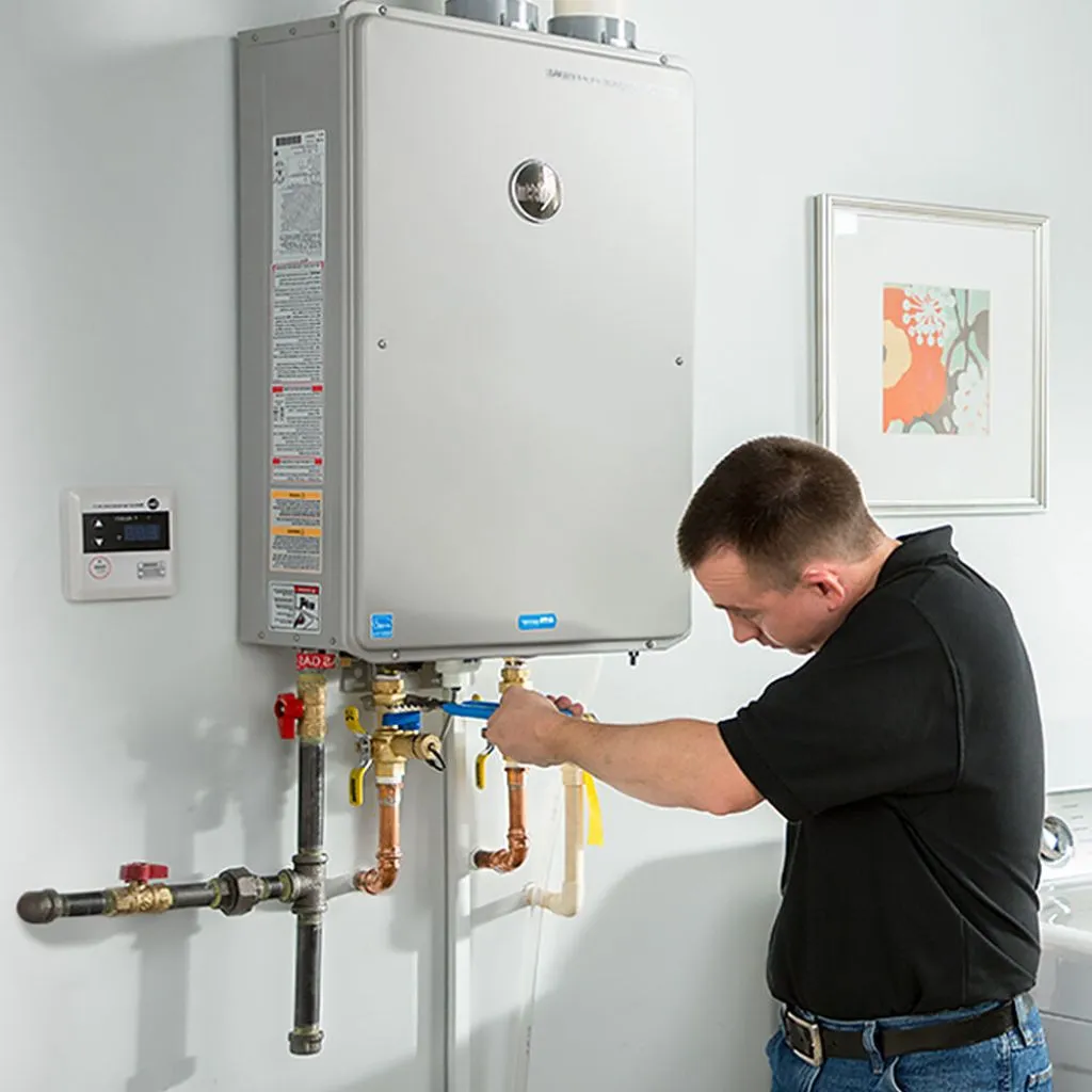 tankless water heater repair in Reva, SD